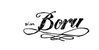 BRAIN BORU logo