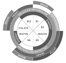 BRAIN BRAIN DETOX BRAIN HEART ANTIOXIDANT HEART CELLULAR METABOLISM CELLULAR METABOLISM ENERGY ENERGY FOLATE B12 B1 B2 NIACIN B5 B6 BIOTIN logo