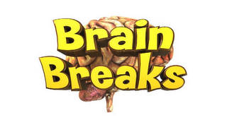 BRAIN BREAKS logo