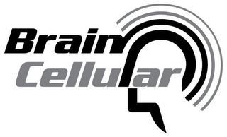 BRAIN CELLULAR logo