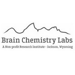 BRAIN CHEMISTRY LABS A NON-PROFIT RESEARCH INSTITUTE - JACKSON, WYOMING logo