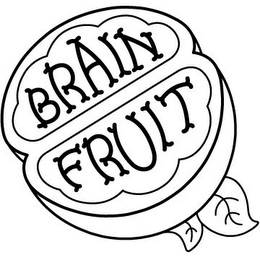 BRAIN FRUIT logo