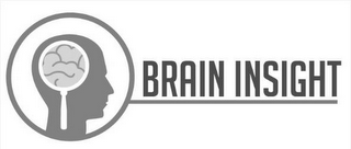 BRAIN INSIGHT logo