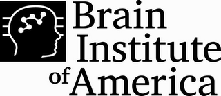 BRAIN INSTITUTE OF AMERICA logo