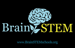 BRAIN STEM WWW.BRAINSTEMSCHOOLS.ORG logo