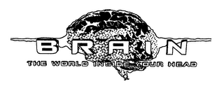 BRAIN THE WORLD INSIDE YOUR HEAD logo
