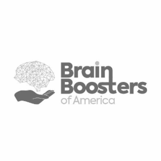 BRAINBOOSTERS OF AMERICA logo