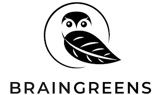 BRAINGREENS logo