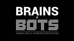 BRAINS + BOTS HUMAN-LED-AI-POWERED PENTESTING logo