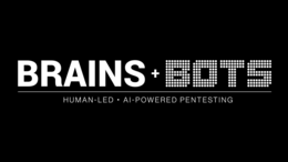 BRAINS + BOTS HUMAN-LED - AI-POWERED PENTESTING logo