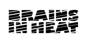 BRAINS IN HEAT logo