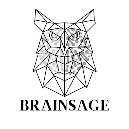 BRAINSAGE logo