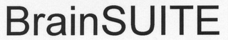 BRAINSUITE logo