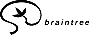 BRAINTREE logo