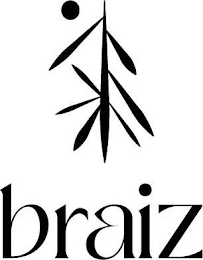 BRAIZ logo