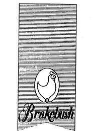 BRAKEBUSH logo