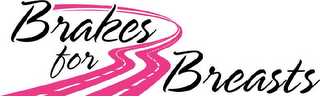 BRAKES FOR BREASTS logo