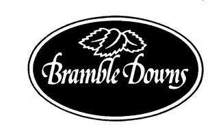 BRAMBLE DOWNS logo