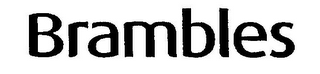 BRAMBLES logo