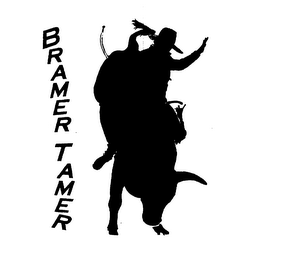 BRAMER TAMER logo