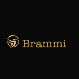 BRAMMI logo
