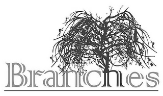 BRANCHES logo