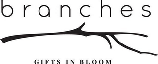 BRANCHES GIFTS IN BLOOM logo