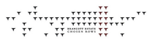 BRANCOTT ESTATE CHOSEN ROWS logo