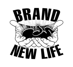 BRAND NEW LIFE logo