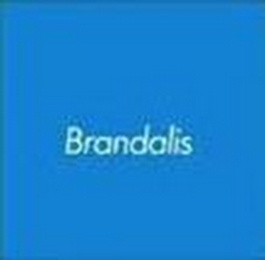 BRANDALIS logo