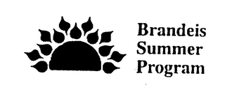 BRANDEIS SUMMER PROGRAM logo
