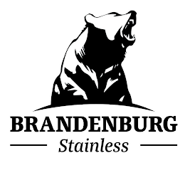 BRANDENBURG STAINLESS logo