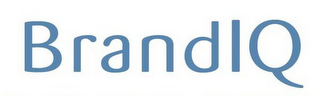 BRANDIQ logo