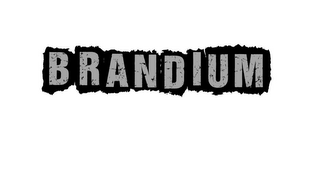 BRANDIUM logo