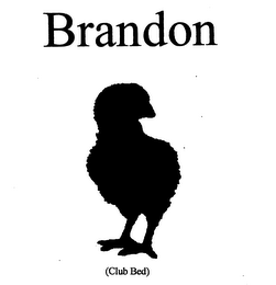 BRANDON logo