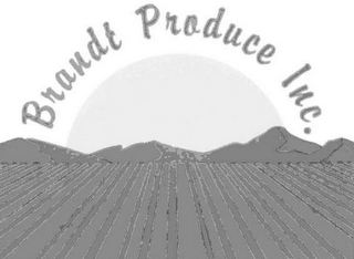 BRANDT PRODUCE INC. logo