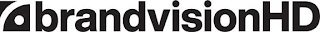 BRANDVISIONHD logo