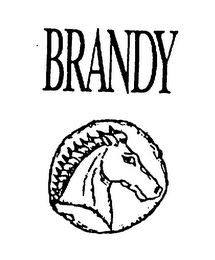 BRANDY logo