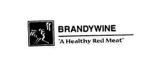 BRANDYWINE "A HEALTHY RED MEAT" logo