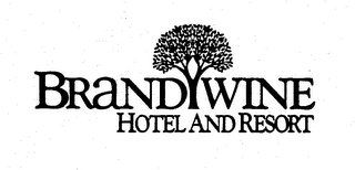 BRANDYWINE HOTEL AND RESORT logo
