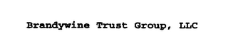BRANDYWINE TRUST GROUP, LLC logo
