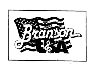 BRANSON USA logo