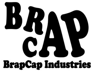 BRAPCAP BRAPCAP INDUSTRIES logo