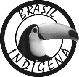 BRASIL INDIGENA logo