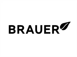 BRAUER logo