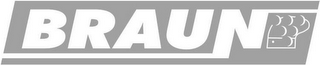 BRAUN logo