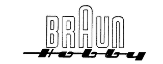 BRAUN HOBBY