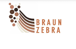 BRAUN ZEBRA logo