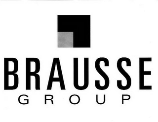 BRAUSSE GROUP logo