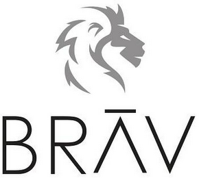 BRAV logo